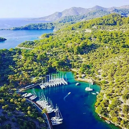 Szálloda Forest Village