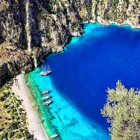 Forest Village Öludeniz