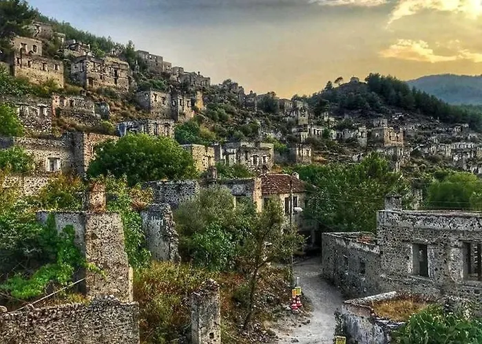 Forest Village