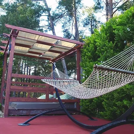 호텔 Forest Village