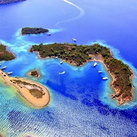 Ξενοδοχείο Forest Village 5*