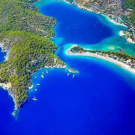 호텔 Forest Village 5*