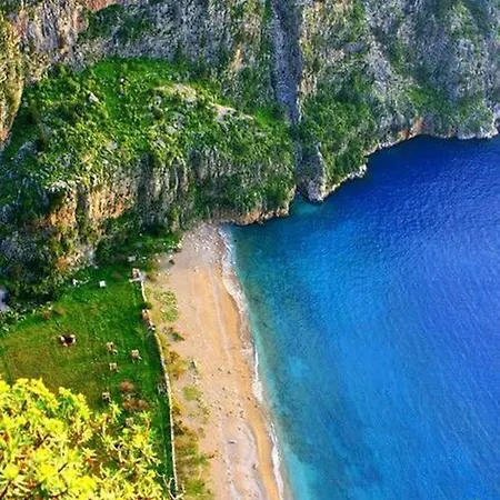 호텔 Forest Village