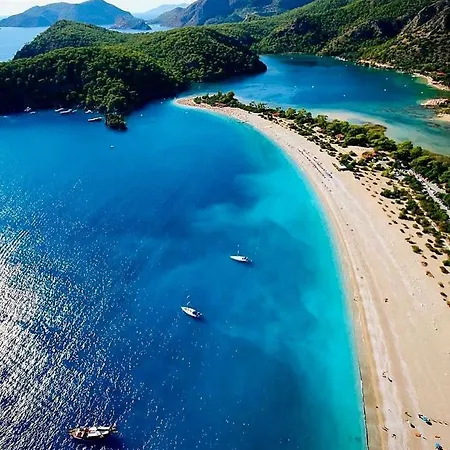 Forest Village 호텔