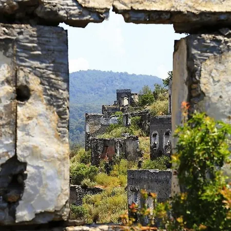 호텔 Forest Village