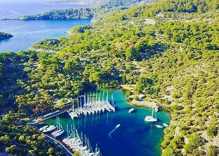 酒店 Forest Village