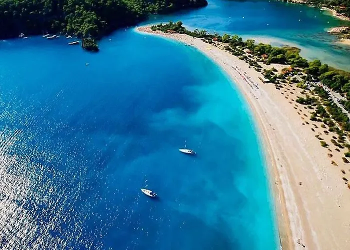 Forest Village 酒店