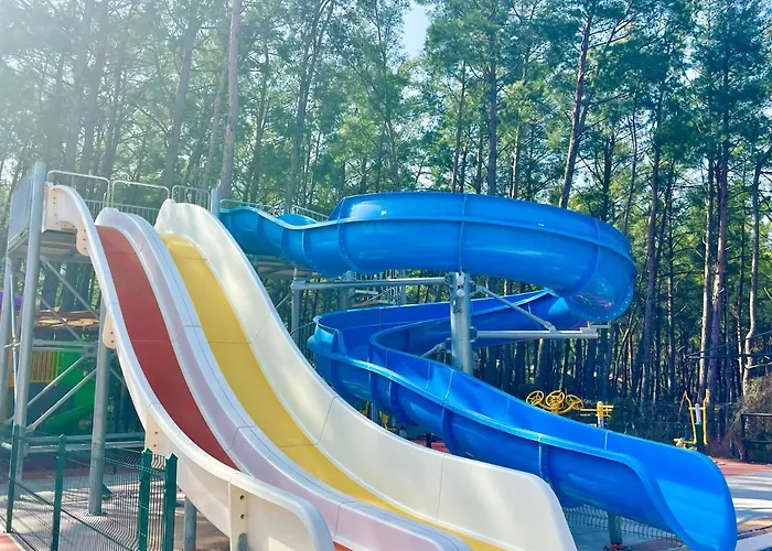 Hotel Forest Village 5*